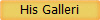 His Galleri